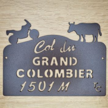 Trophée du Col du Grand Colombier Moto GS