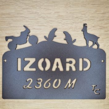 Trophée du Col de l’Izoard Moto GS